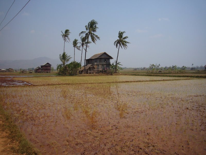 Travel - Myanmar - Inle Lake - Second Boat Trip - Walk to the Market